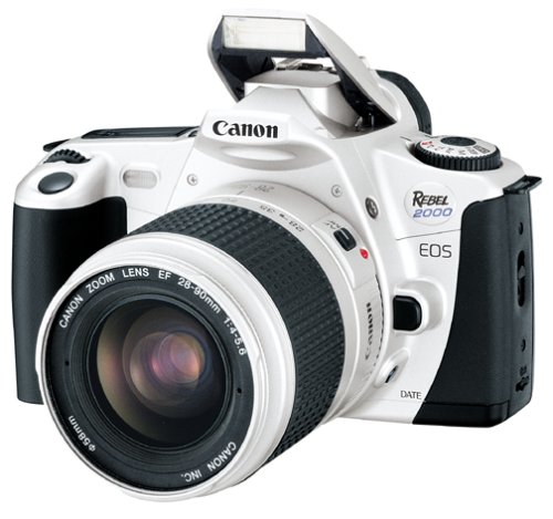 Should You Acquire Canon Rebel Electronic cameras?