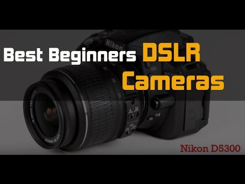 Best Beginners DSLR Cameras