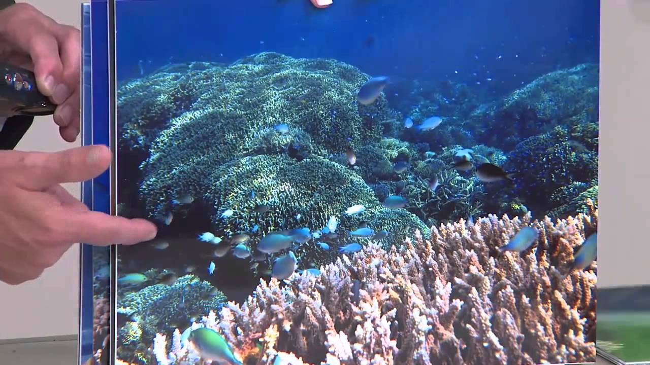 [ Best Underwater Camera 2015 ] – Few Best Waterproof Camera 2015-BY TOP10LIST