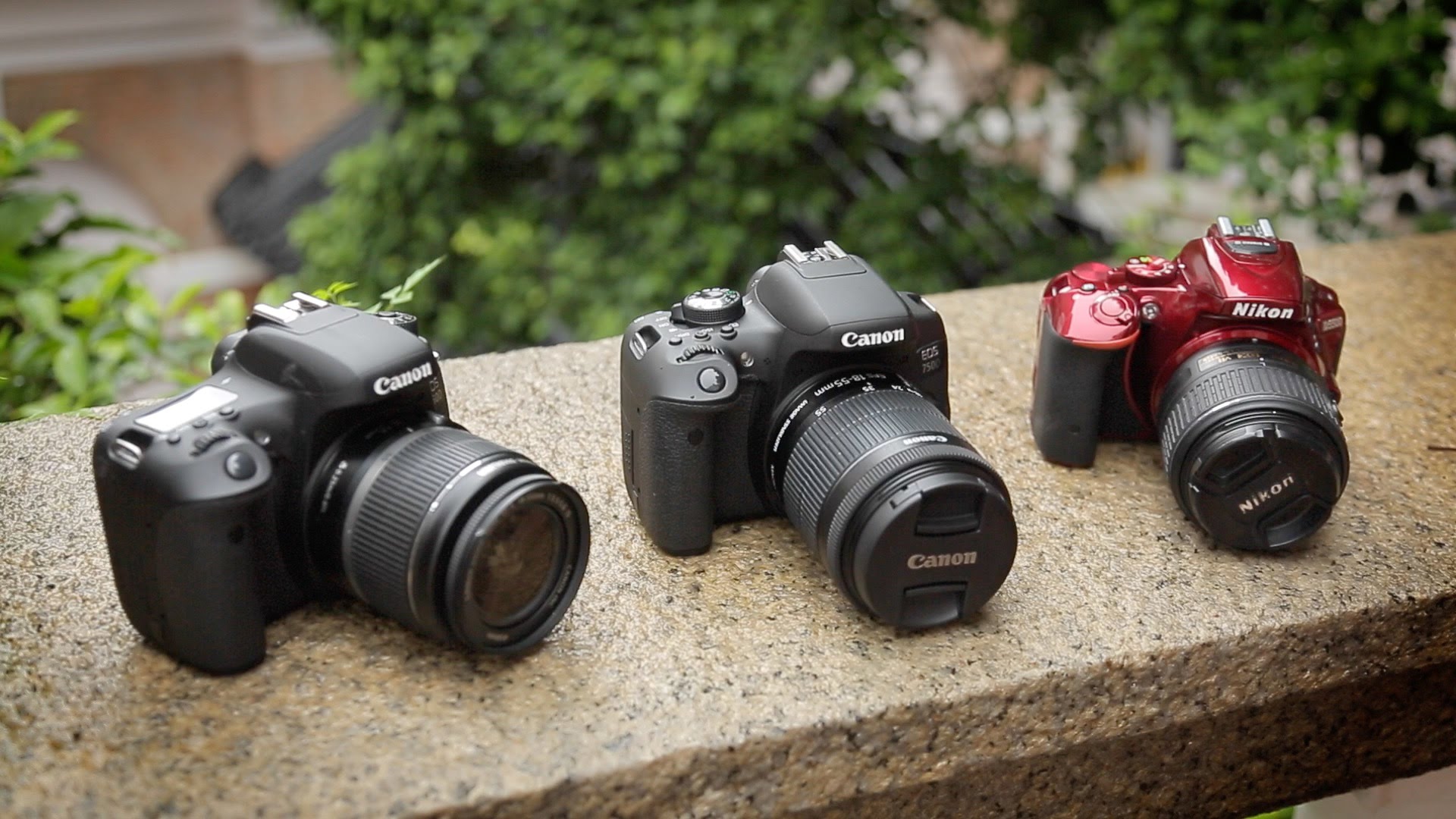 Canon 750/760D vs Nikon D5500 Head-to-Head (T6i/T6s)