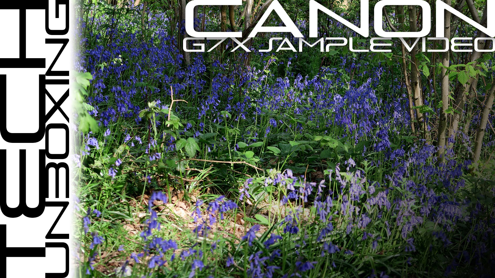 Canon PowerShot G7X Sample Video