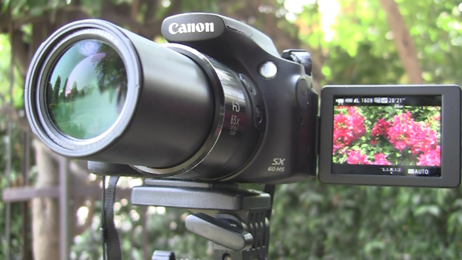 Canon SX60 HS Review – Macro and Video Capabilities demonstrated