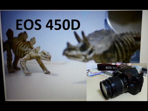 How to record a video with Canon 450D 1000D 40D 50D 5D Mark II DSLR