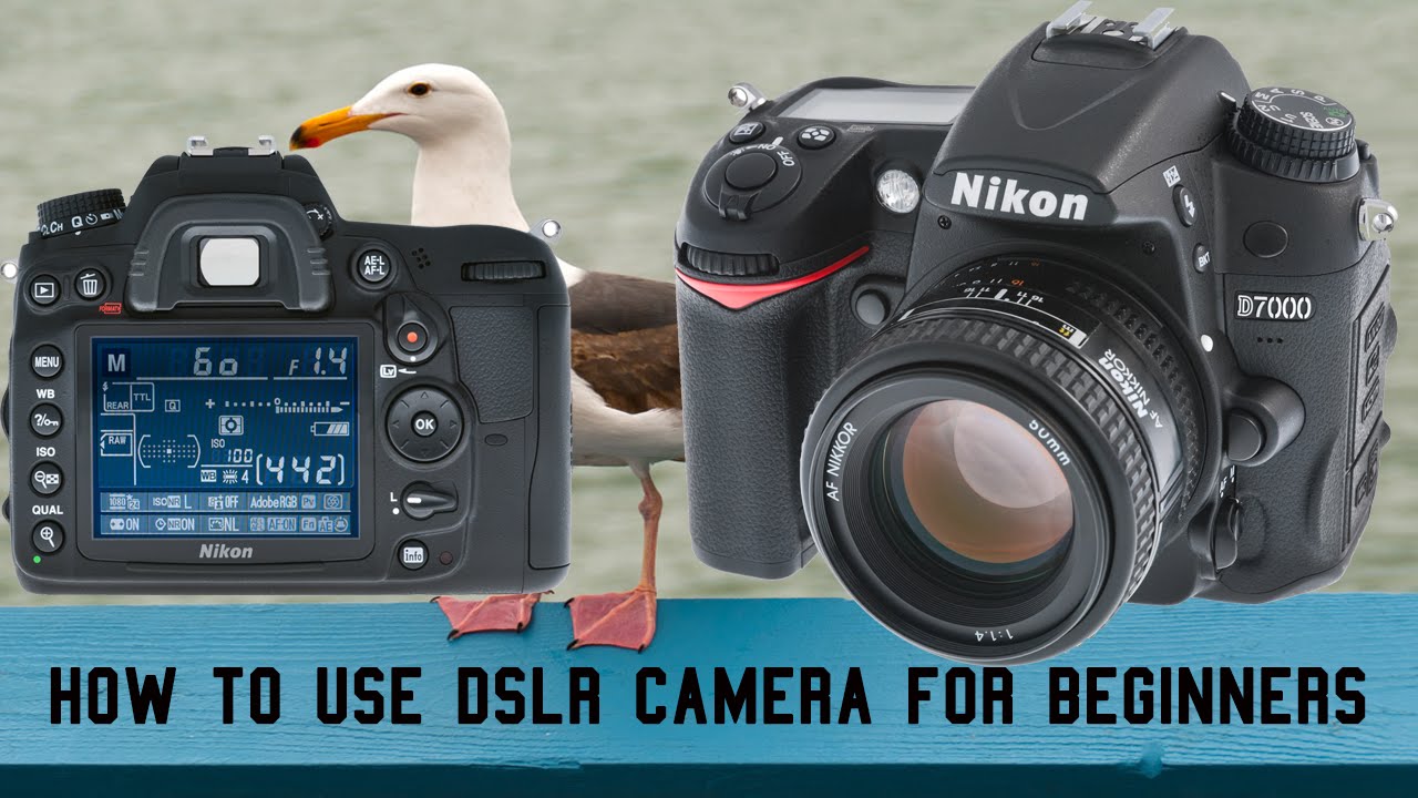 How To Use DSLR Camera For Beginners – Master Your DSLR