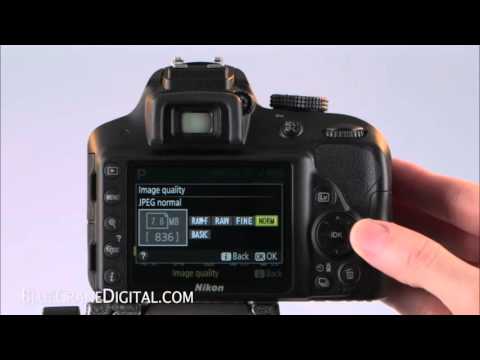 Introduction to the Nikon D3300: Basic Controls