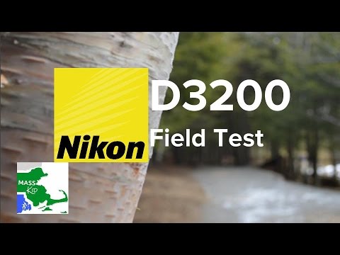 Nikon D3200 Field Test — Photos