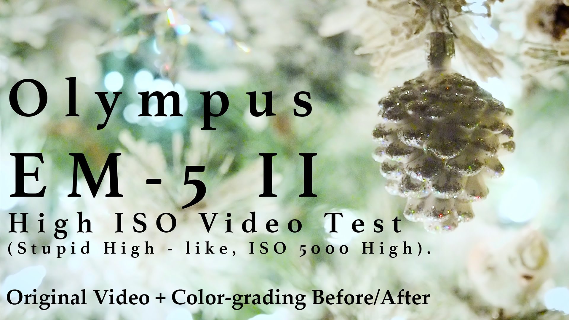 Olympus EM-5 Mark II – Video Test: Low light & High ISO w/ Color Grading (v 2.0 firmware)