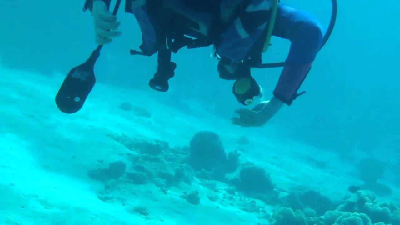 Olympus Tough TG810 underwater filming