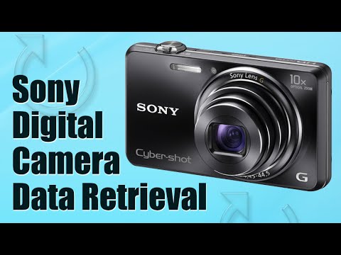 Rescue lost pictures or videos from Sony Digital Camera