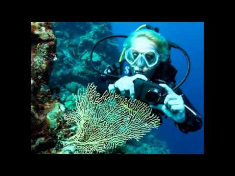 SeaLife ReefMaster Mini Digital Underwater Dive Camera Includes Mini Wide Angle Lens