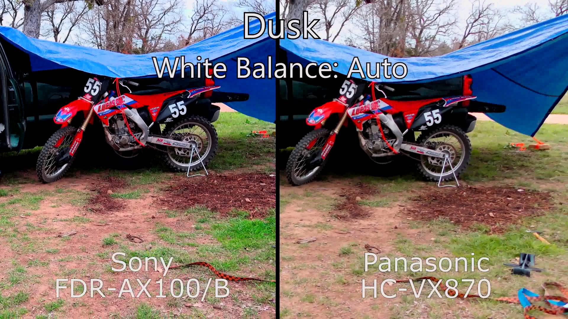 Sony FDR-AX100 vs Panasonic HC-VX870 — Video camera outdoor side-by-side comparison