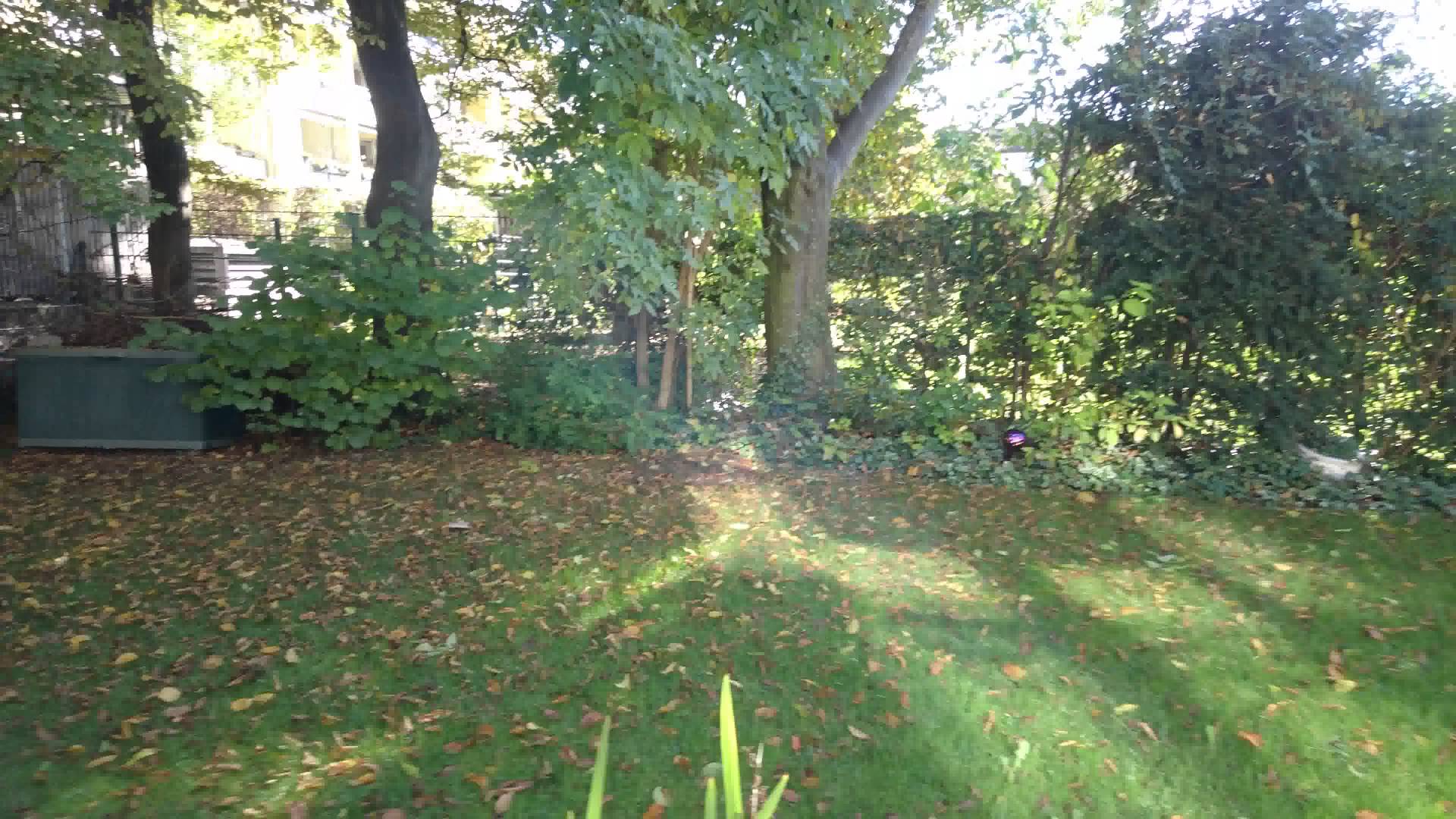 Sony Xperia Z3 Compact Back Camera 4K Video Test