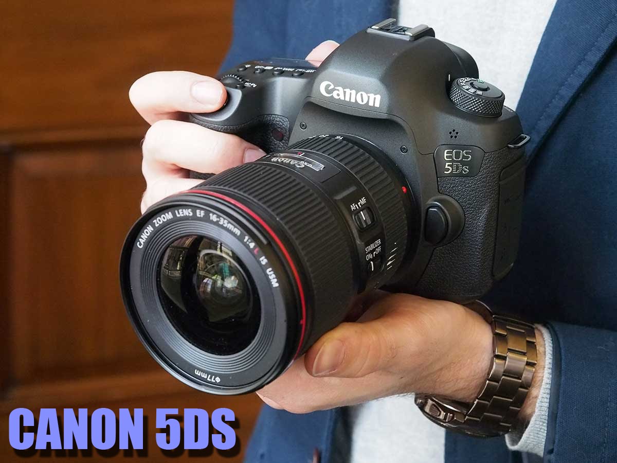 Top 5 Digital SLR Camera remarkable 2015 – The Best Camera 2015