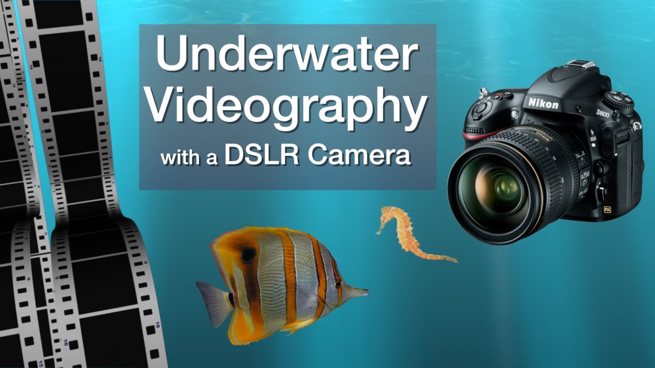 Underwater Videography with a DSLR Camera