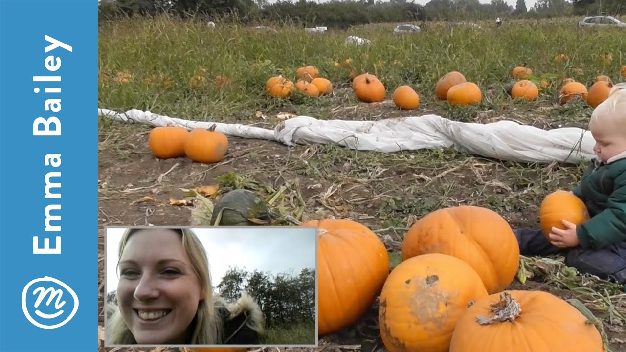 Visiting the pumpkin patch with Channel Mum | Panasonic HC-W570 camera | Ad