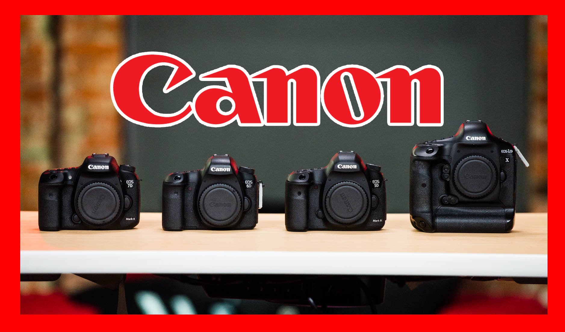 Which Canon DSLR Should You Buy: 1D X, 5D Mark III, 6D, 7D Mark II